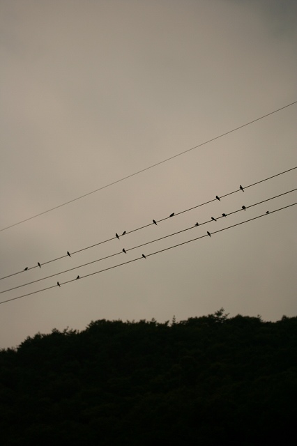 e0024081_1428511.jpg