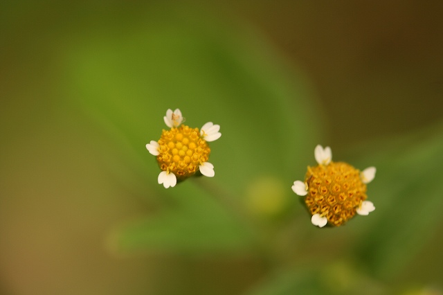 e0024081_14321685.jpg