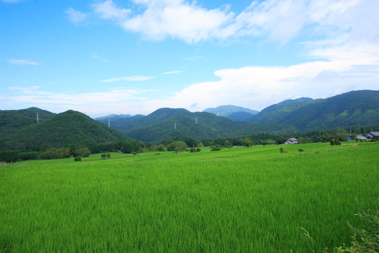 京都の原風景をさがせポタリング（^^）_e0051888_9184650.jpg