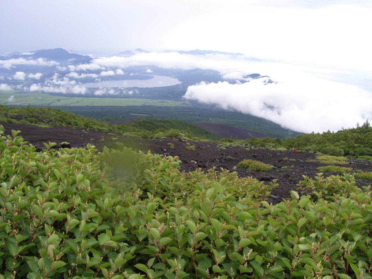 f0056412_230061.jpg