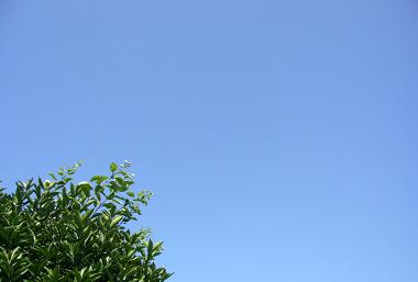 a0070626_0404973.jpg