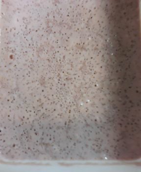 e0065928_16342877.jpg