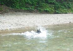 e0024630_113141.jpg