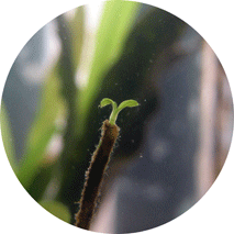 d0048332_14323999.gif