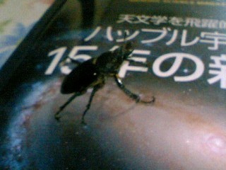 f0097235_1013695.jpg