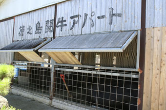 e0041337_529541.jpg