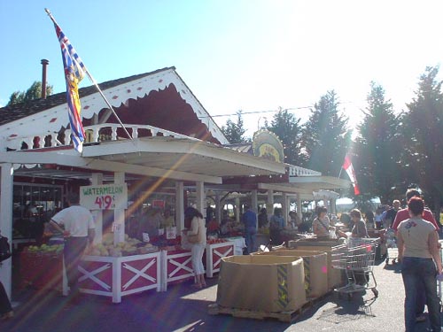 e0016845_32687.jpg