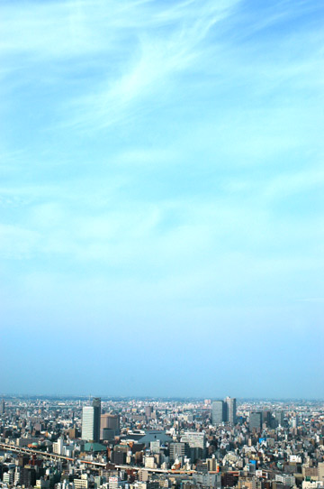 d0008146_1362788.jpg