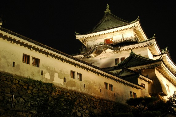　　和歌山城 ライトアップ　　５_b0093754_0501639.jpg