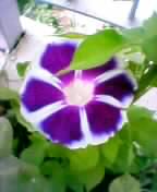 b0061261_23103232.jpg