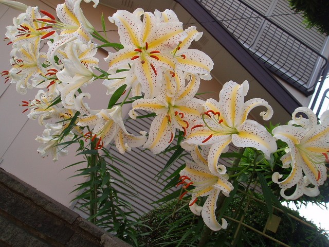 b0061261_2385052.jpg