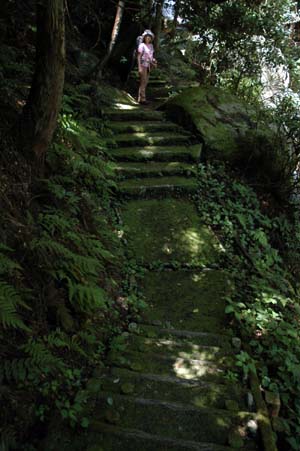 b0061588_15271248.jpg