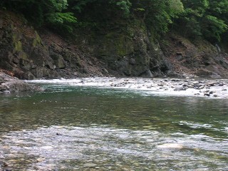 e0052088_1848062.jpg