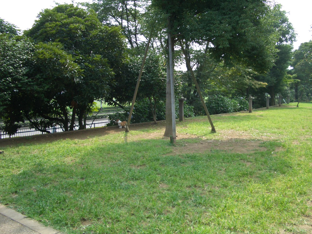 f0101201_2026277.jpg