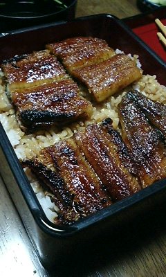 夏休み なごやのうなぎ_b0024611_20465448.jpg