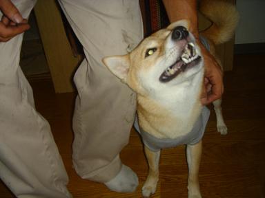 f0086814_4593799.jpg