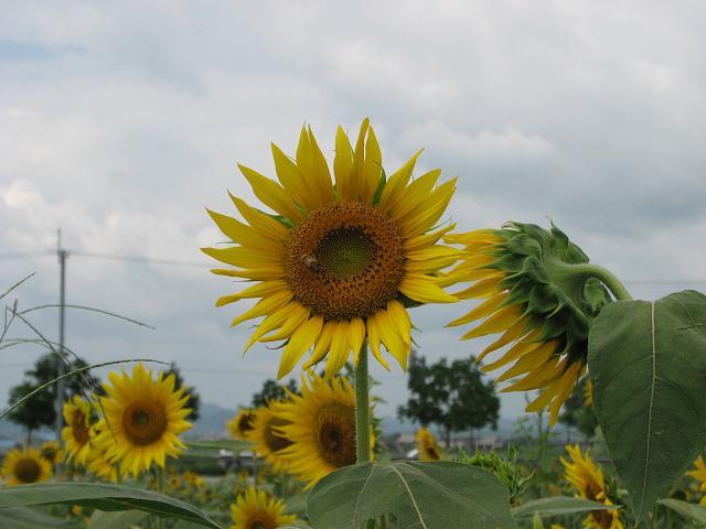 f0099535_21353693.jpg