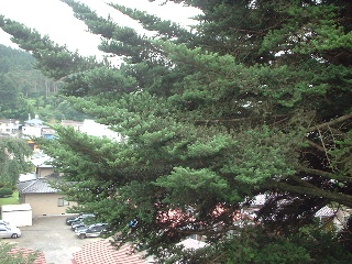 f0031037_18231079.jpg