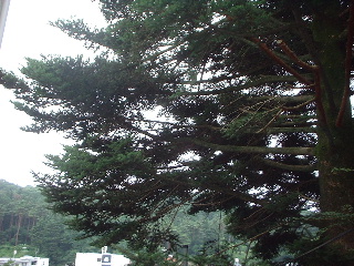 f0031037_18232846.jpg