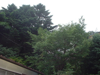 f0031037_18234223.jpg