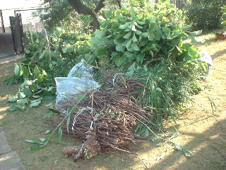 f0031037_18241045.jpg