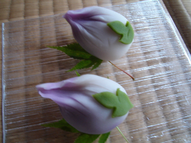 一句 朝顔につるべとられてもらい水 Barnes Noble