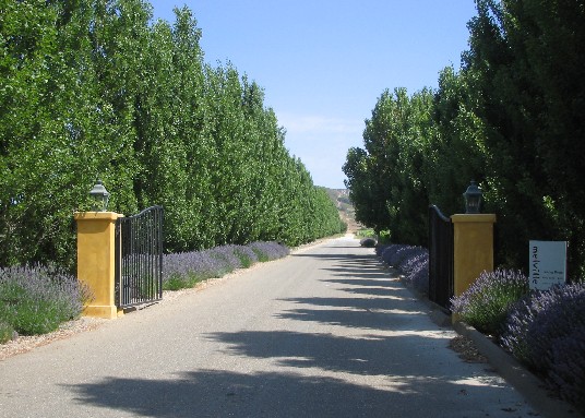 c0013687_22393767.jpg
