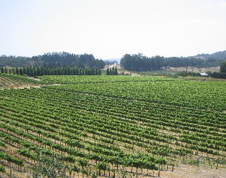 c0013687_22404343.jpg