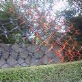 c0035297_1339591.jpg