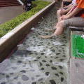 c0035297_13552735.jpg
