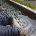 c0035297_13553974.jpg