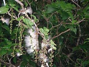 a0036499_222567.jpg