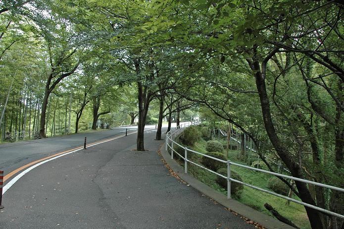 福岡女子短期大学・福岡国際大学_a0042310_14402351.jpg