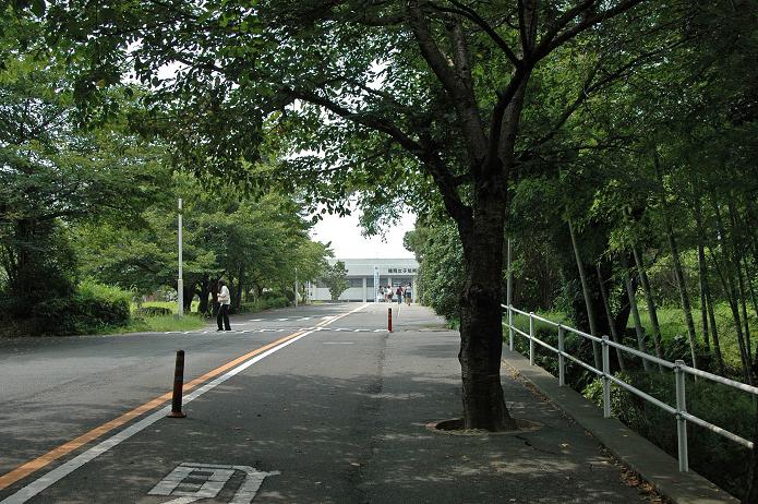 福岡女子短期大学・福岡国際大学_a0042310_14404184.jpg
