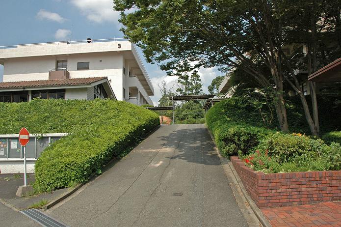 福岡女子短期大学・福岡国際大学_a0042310_14514411.jpg