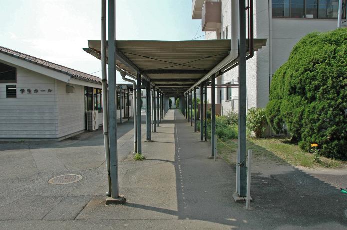 福岡女子短期大学・福岡国際大学_a0042310_14571777.jpg