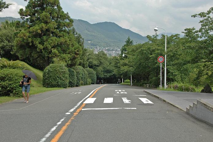 福岡女子短期大学・福岡国際大学_a0042310_15364276.jpg