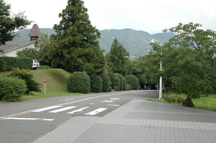 福岡女子短期大学・福岡国際大学_a0042310_1537874.jpg