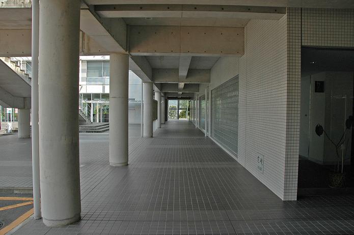 福岡女子短期大学・福岡国際大学_a0042310_158913.jpg
