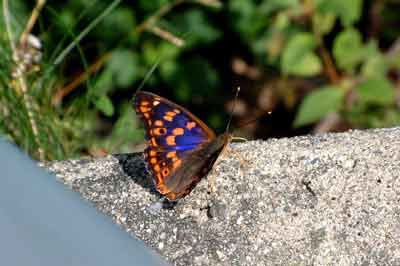 e0001110_22533750.jpg