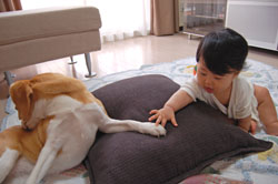 c0042319_1149246.jpg