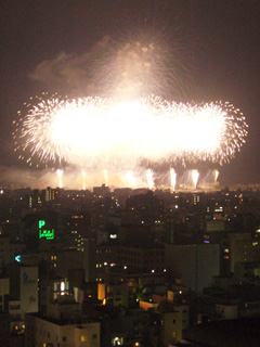 安倍川花火　～真夏の夜の夢～_c0053520_207766.jpg