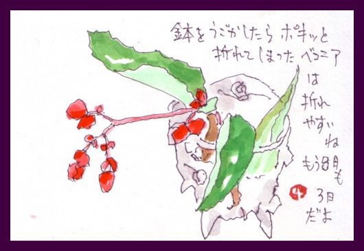 ポキンと・・・・_e0074955_2348749.jpg