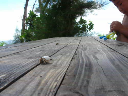 b0052394_22572665.jpg