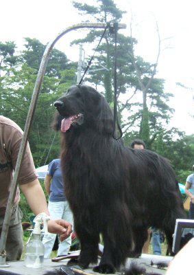 c0050400_12445049.jpg