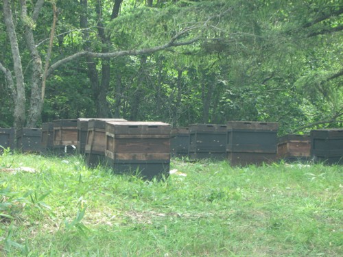 f0020302_17565372.jpg