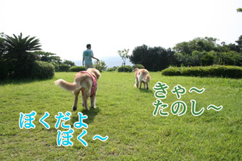 e0072606_1340540.jpg