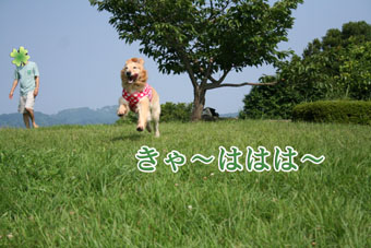 e0072606_13432935.jpg
