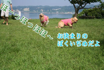 e0072606_13501612.jpg