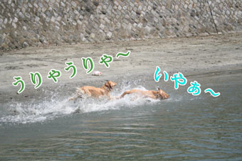 e0072606_14131537.jpg